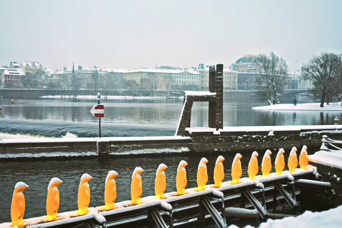 Row of lit penguin sculptures on the Vltava weir at Kampa under snow